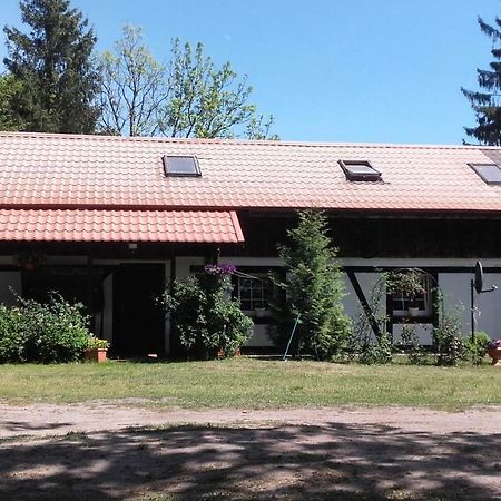 Agroturystyka Pod Debami W Klukach Smołdzino Buitenkant foto