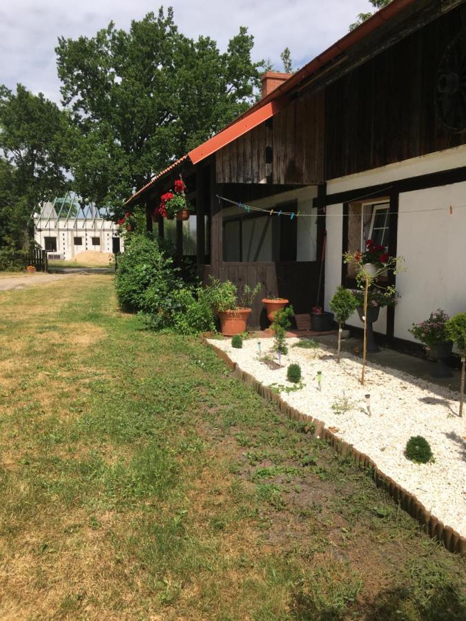 Agroturystyka Pod Debami W Klukach Smołdzino Buitenkant foto