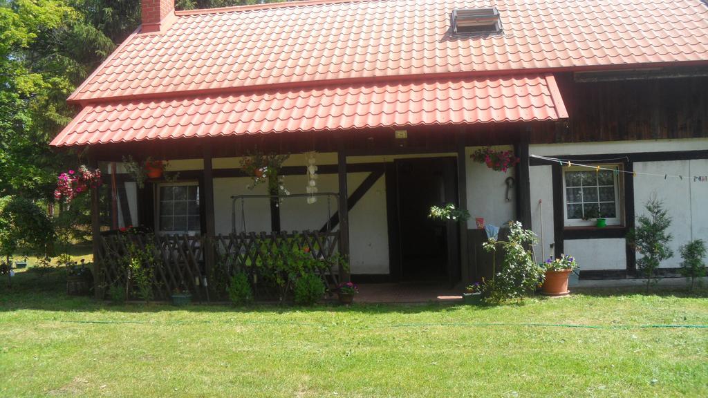 Agroturystyka Pod Debami W Klukach Smołdzino Buitenkant foto
