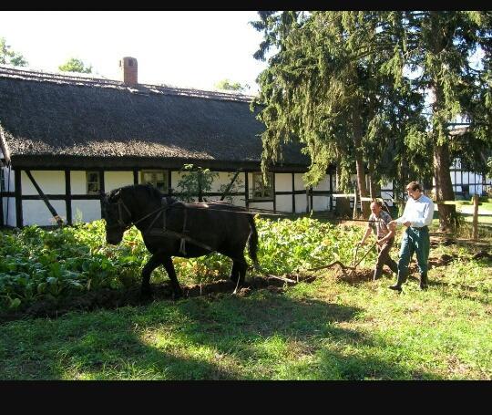 Agroturystyka Pod Debami W Klukach Smołdzino Buitenkant foto