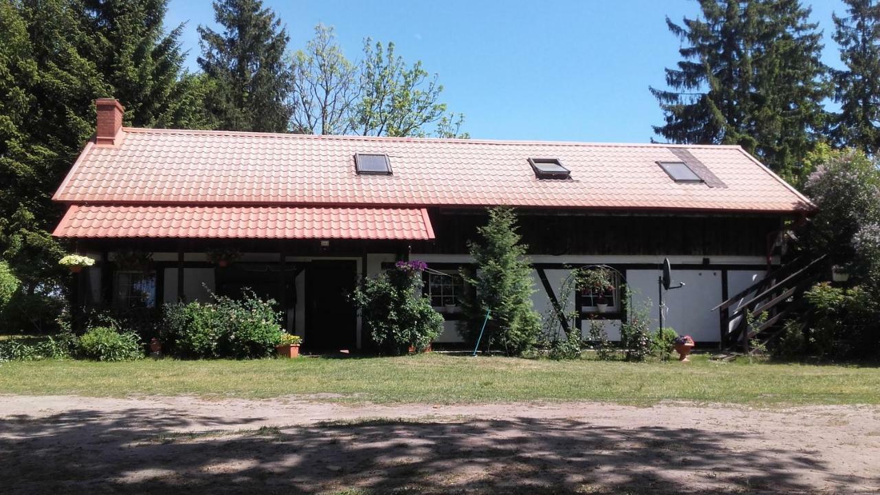 Agroturystyka Pod Debami W Klukach Smołdzino Buitenkant foto